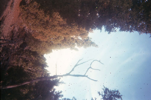 RCA-photo-contest-5