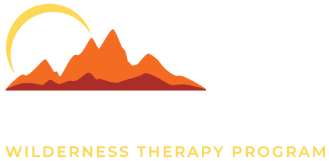 Partners sex addicts speak out self care personal