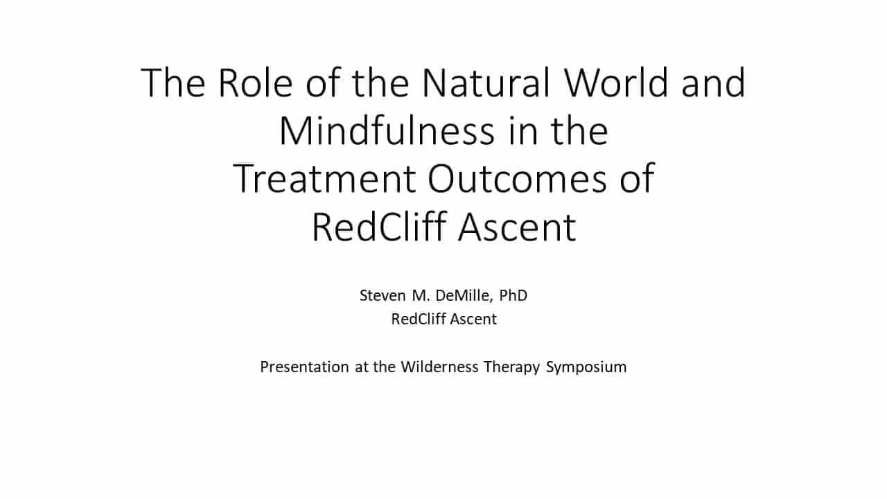 The Role of the Natural World and Mindfulness